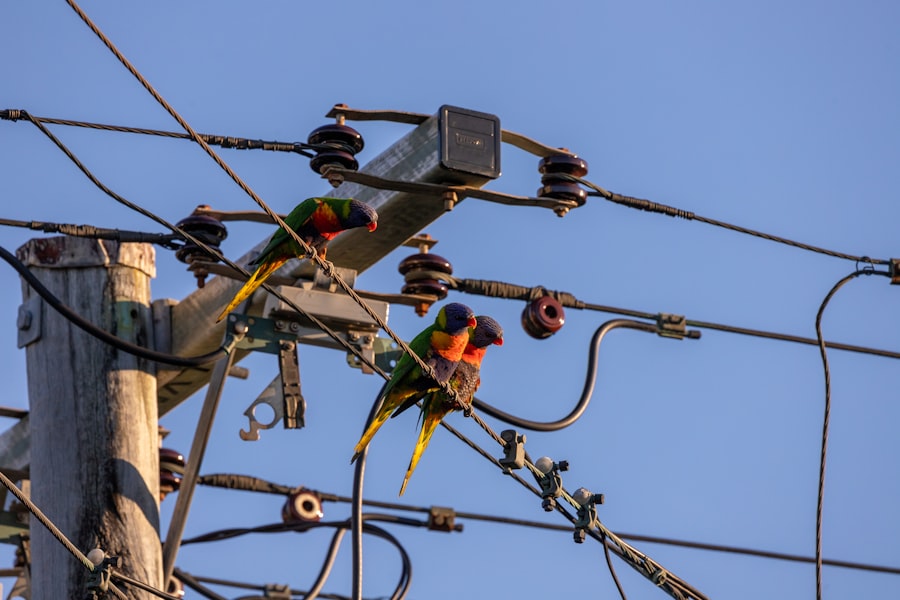 electrician jobs