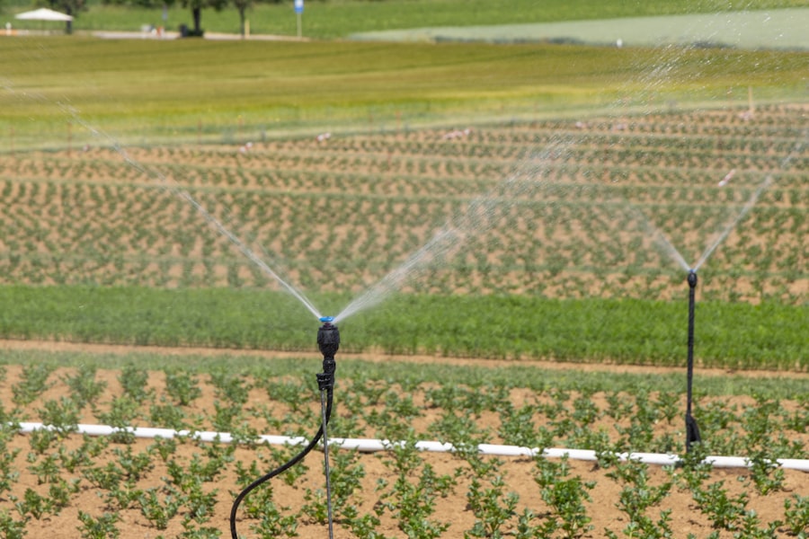 farmland water scarcity