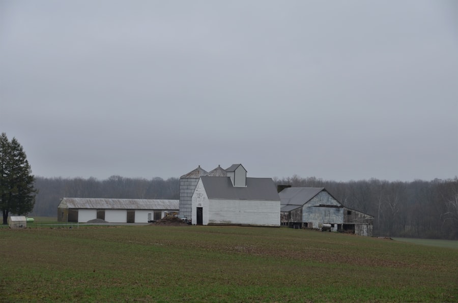 farmland REITs