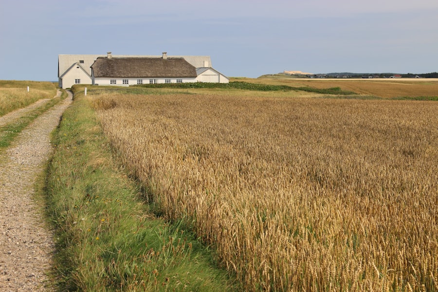 farmland investment