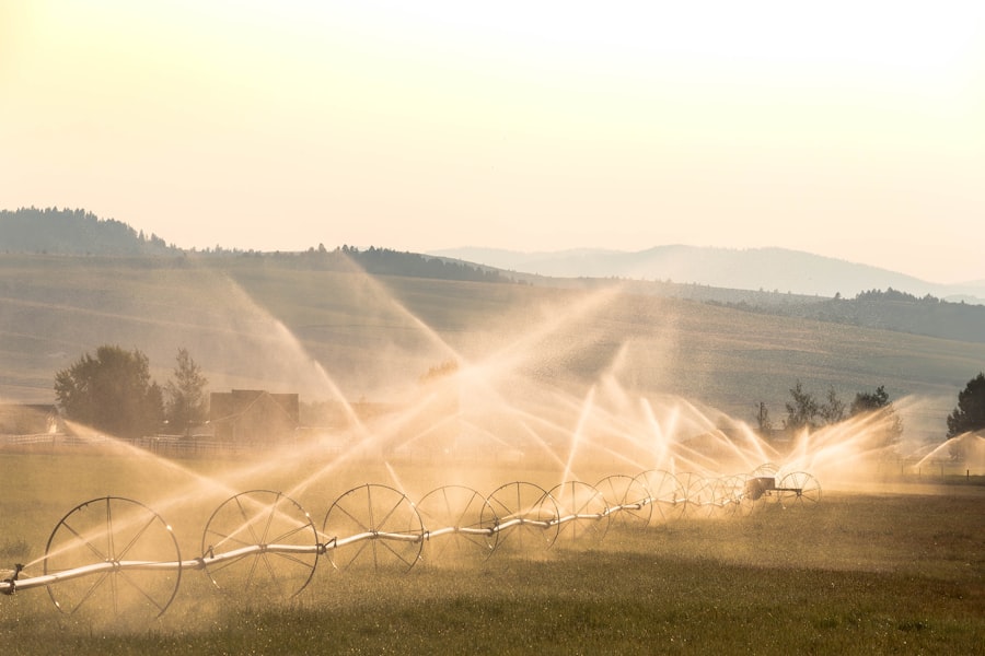 farmland water rights speculation