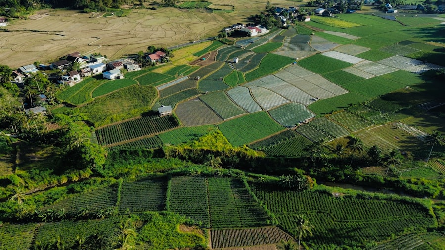 agricultural land speculation