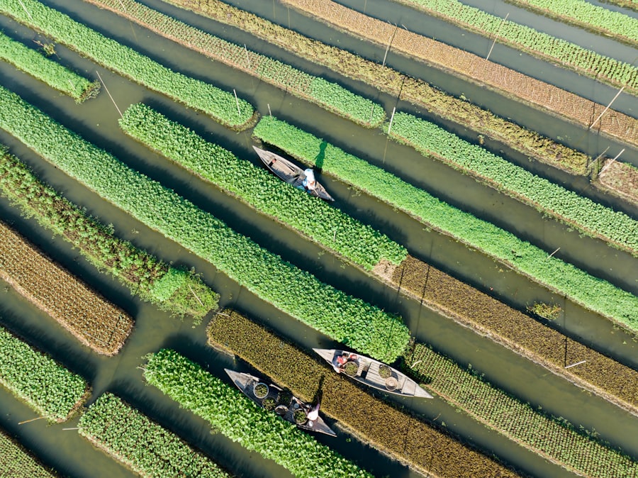 efficiency illusion farming