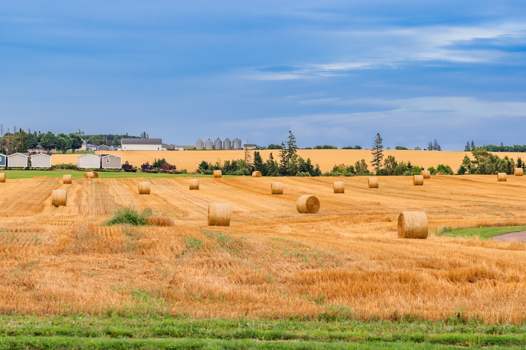 Photo farmland investment