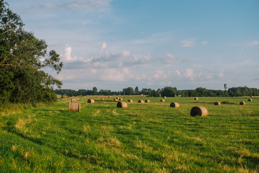Photo farmland investment