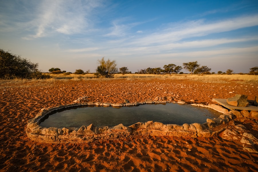 Photo farmland water scarcity