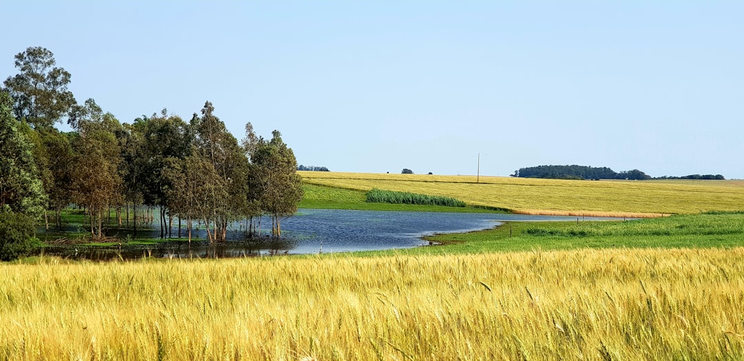 Photo farmland investment