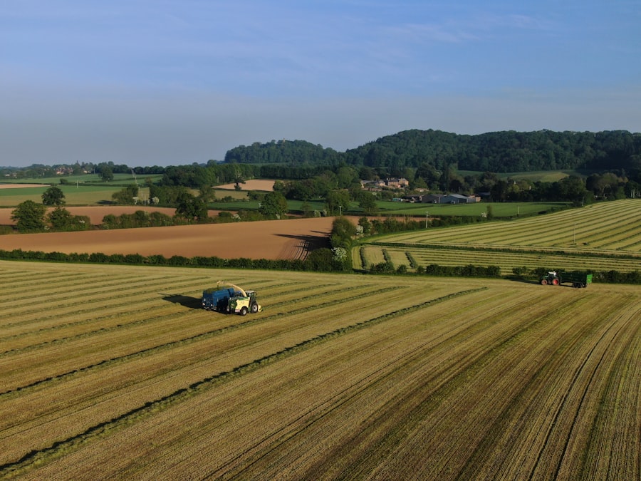 Photo farmland investment