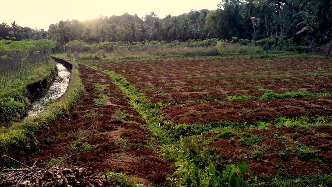 Photo start a farm without buying land