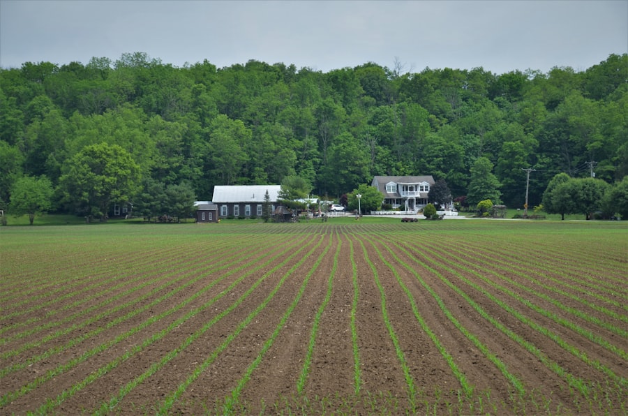 Photo start a farm without buying land