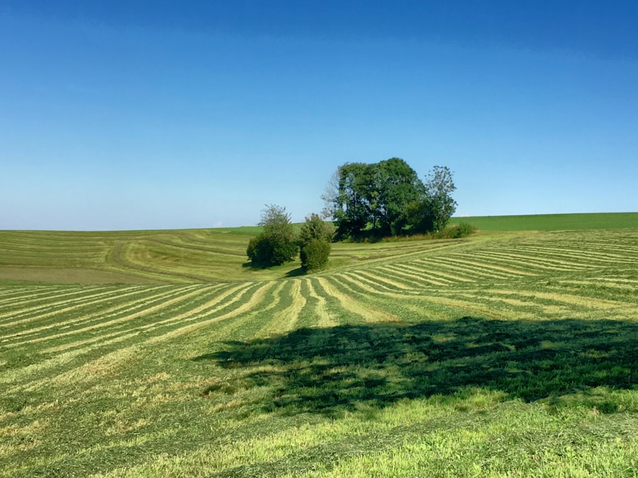 Photo farmland appreciation