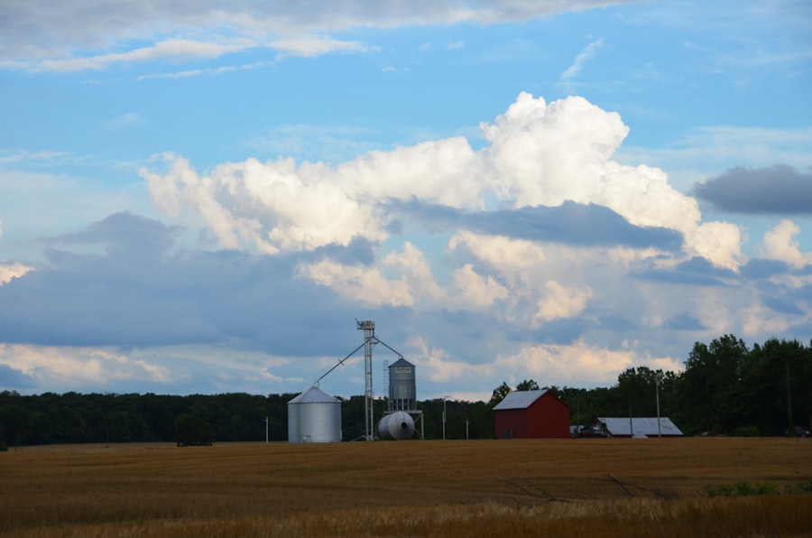 Photo farmland consolidation