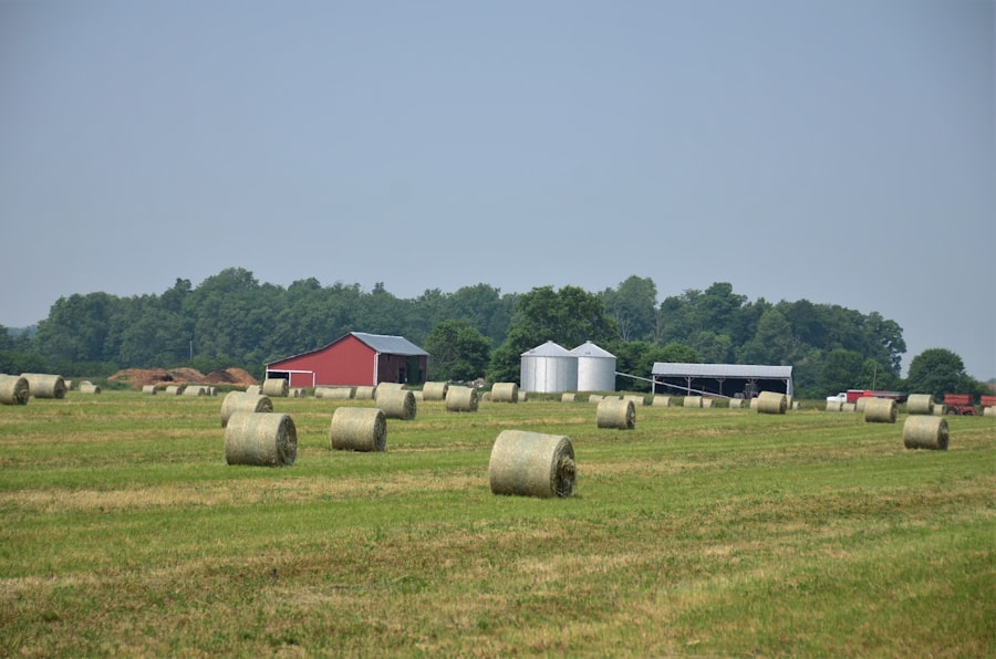 Photo farmland prices