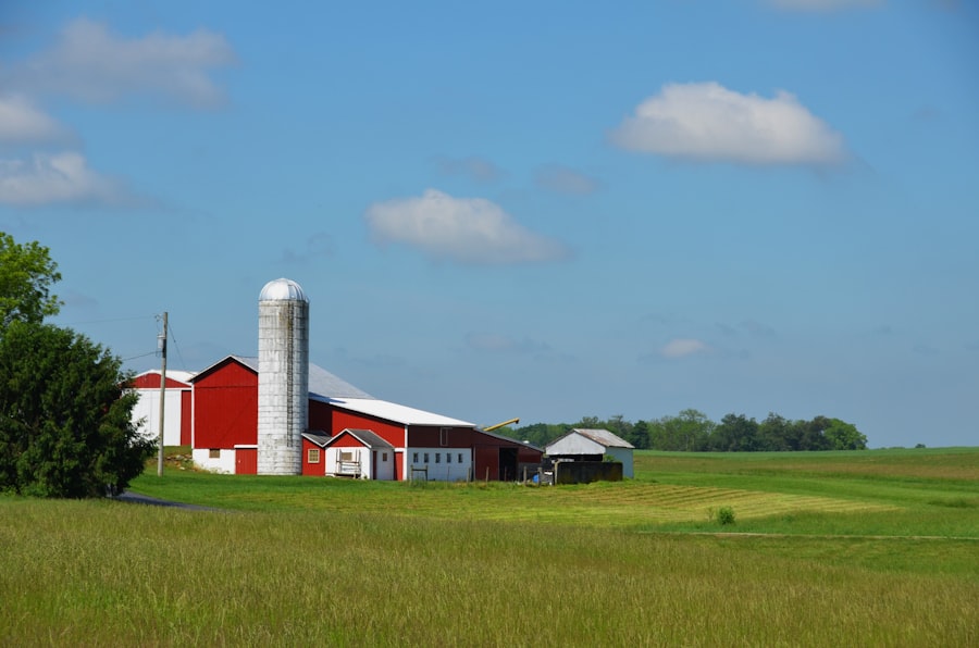 Photo farmland prices
