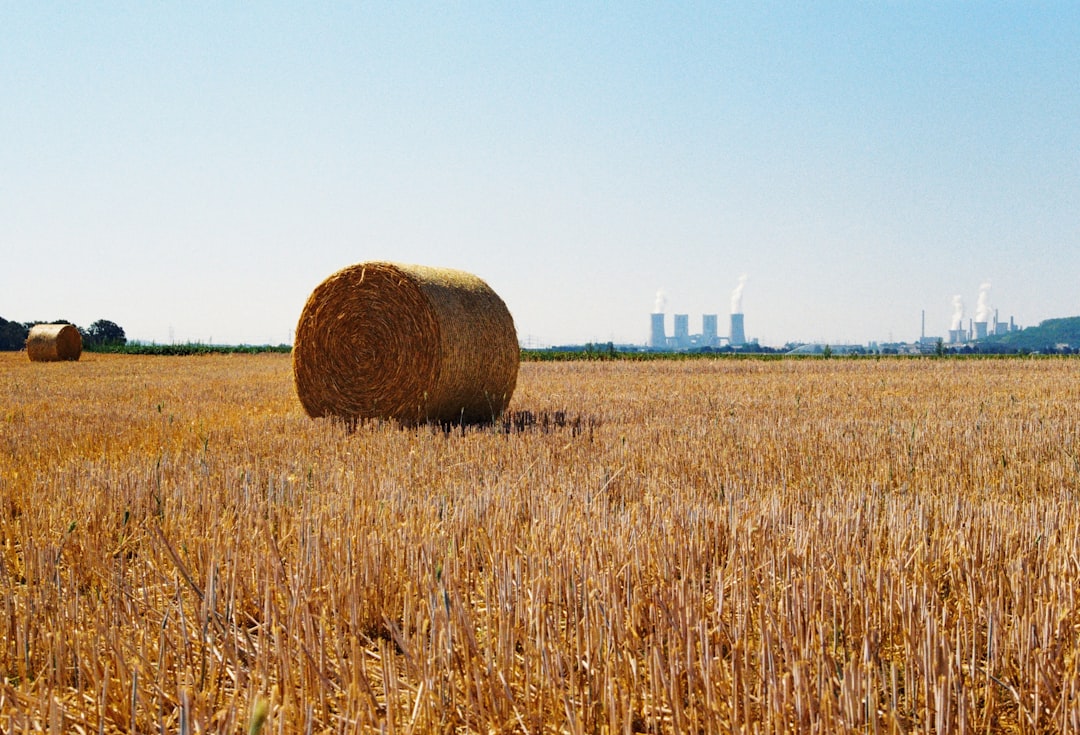 Photo farmland commodity