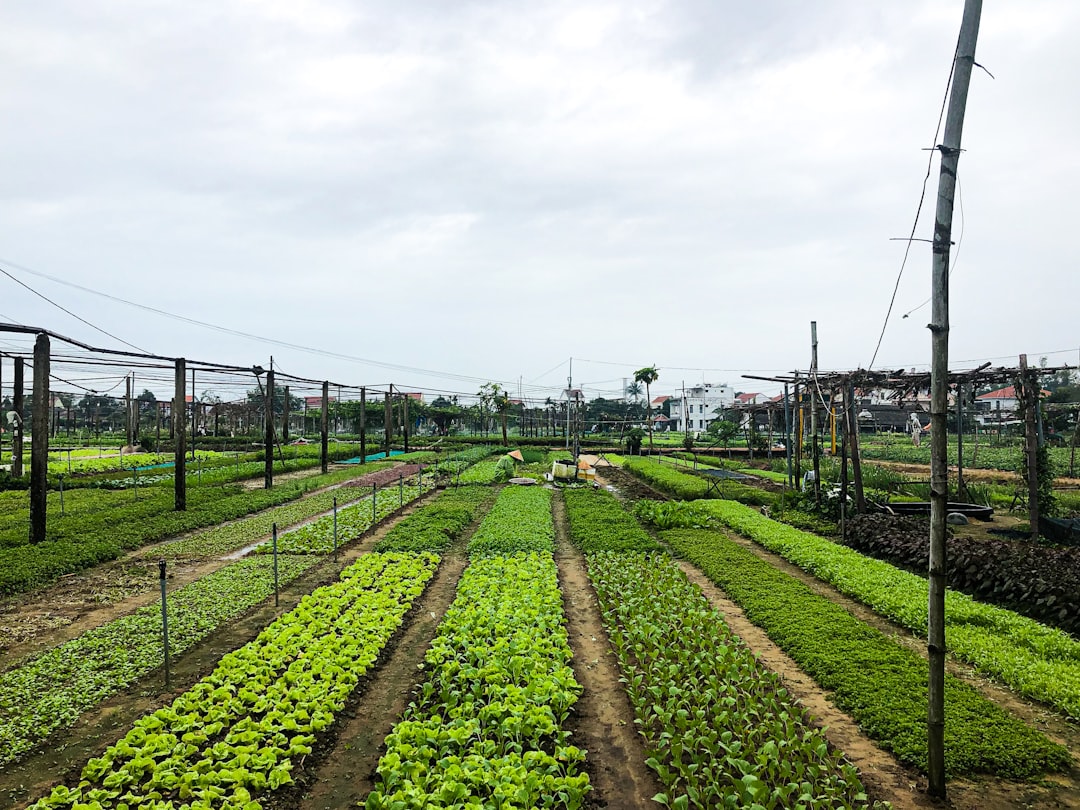 Photo agribusiness vertical integration