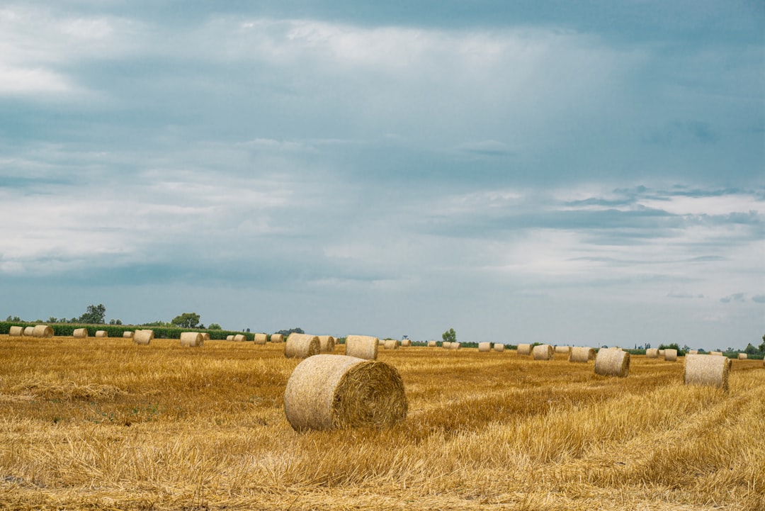 Photo farmland overvalued