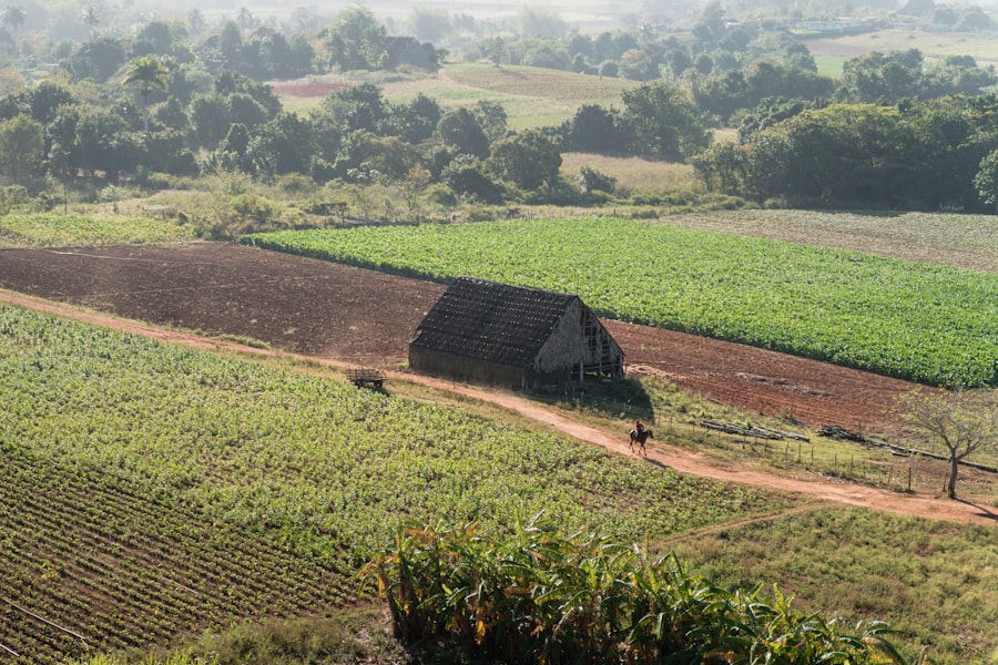 Photo agricultural land investment