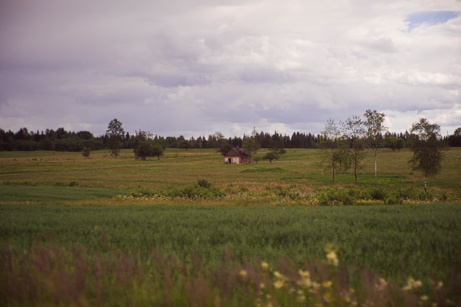 Photo land grab documentary