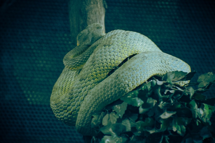 Photo python jobs