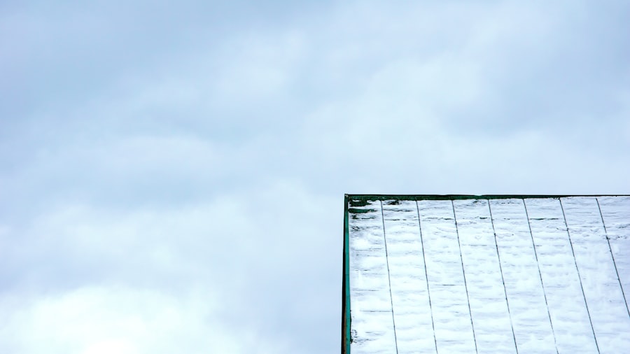 Photo job displacement