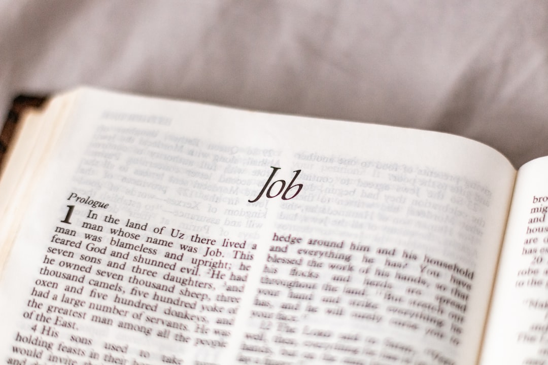 Photo AI for job applications