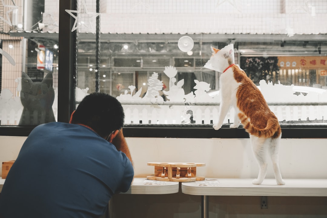 Photo ai assistants