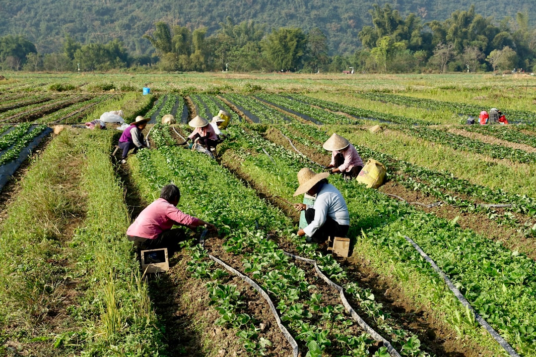 Photo Agricultural Labor Crisis US