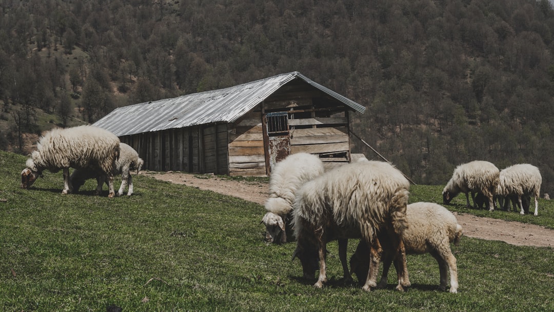 Photo Family Farm Myth