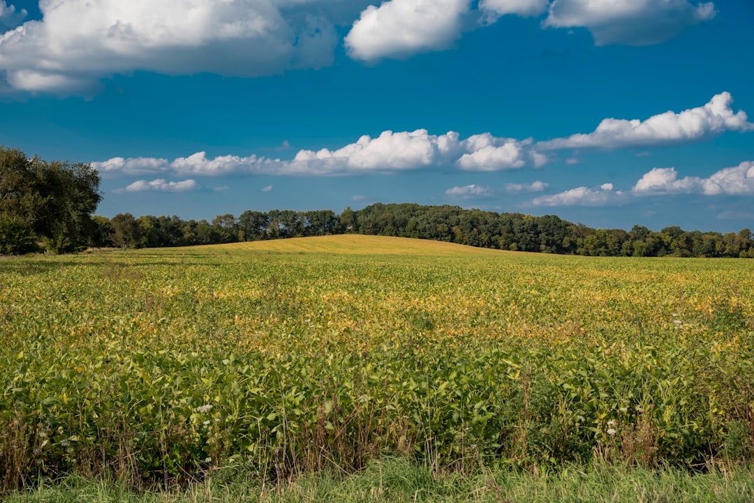 Photo Farmland