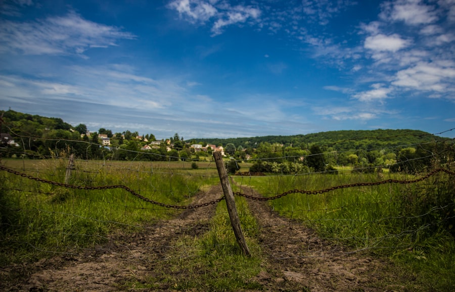 Photo Farmland