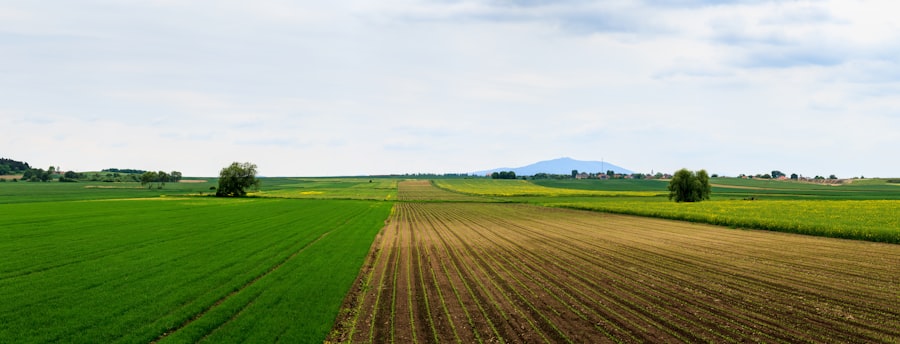 Photo Farmland