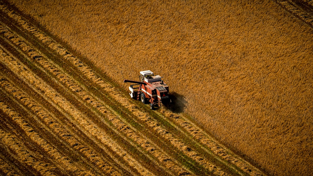 Photo Moral Hazard Agriculture