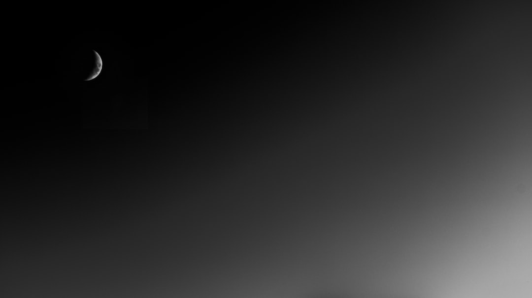 Photo algorithmic pricing