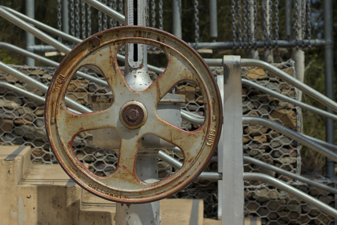 Photo digital hamster wheel