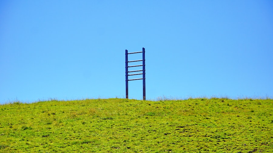 career ladder