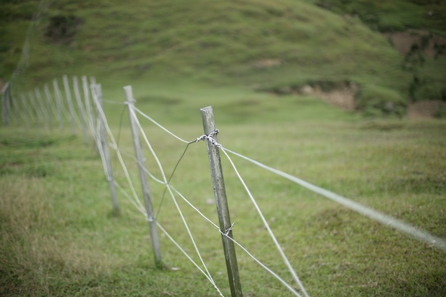 Photo utility ring fencing