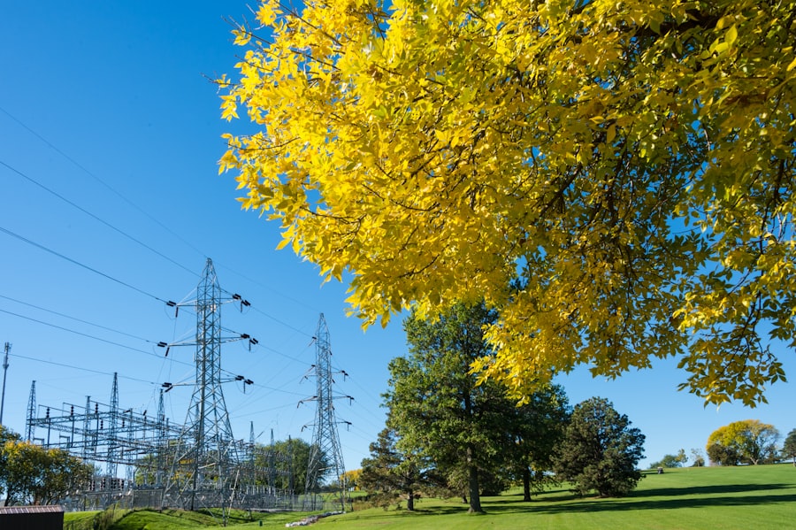 Photo public power utility benefits