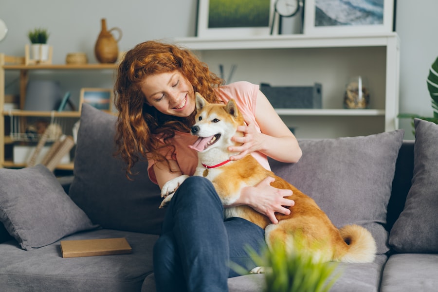 pet insurance alternatives