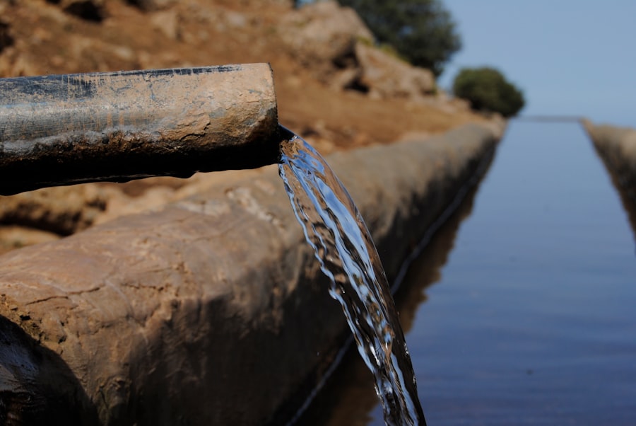 water privatization crisis