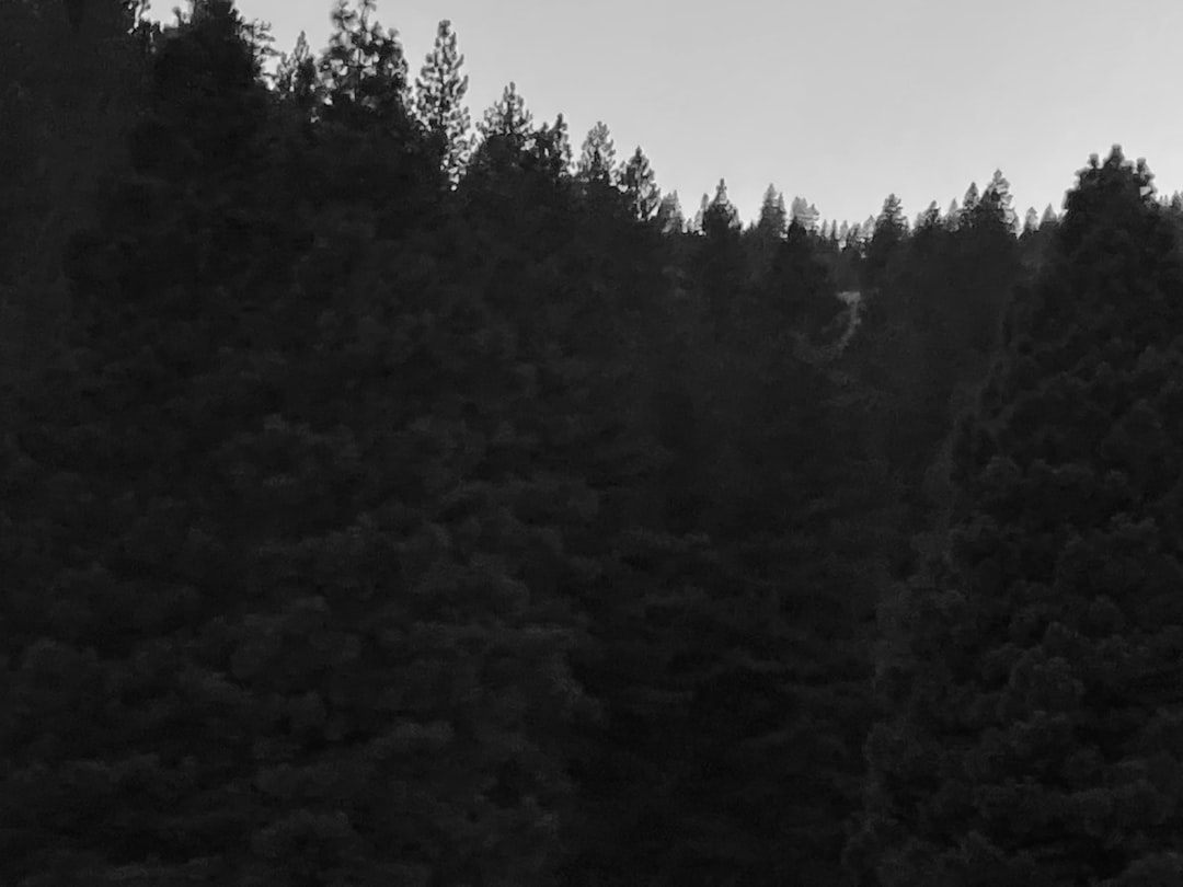 Photo financing options