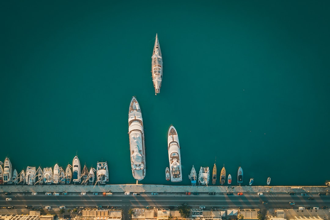 Photo space industry survivors criteria