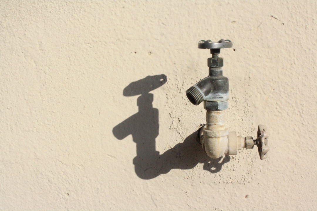 Photo water privatization crisis