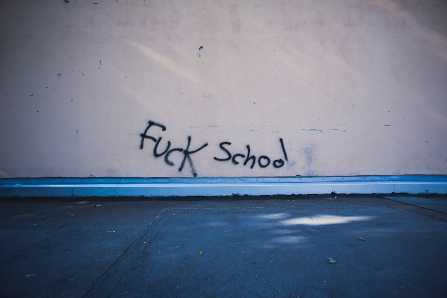 Photo schools, financial assets