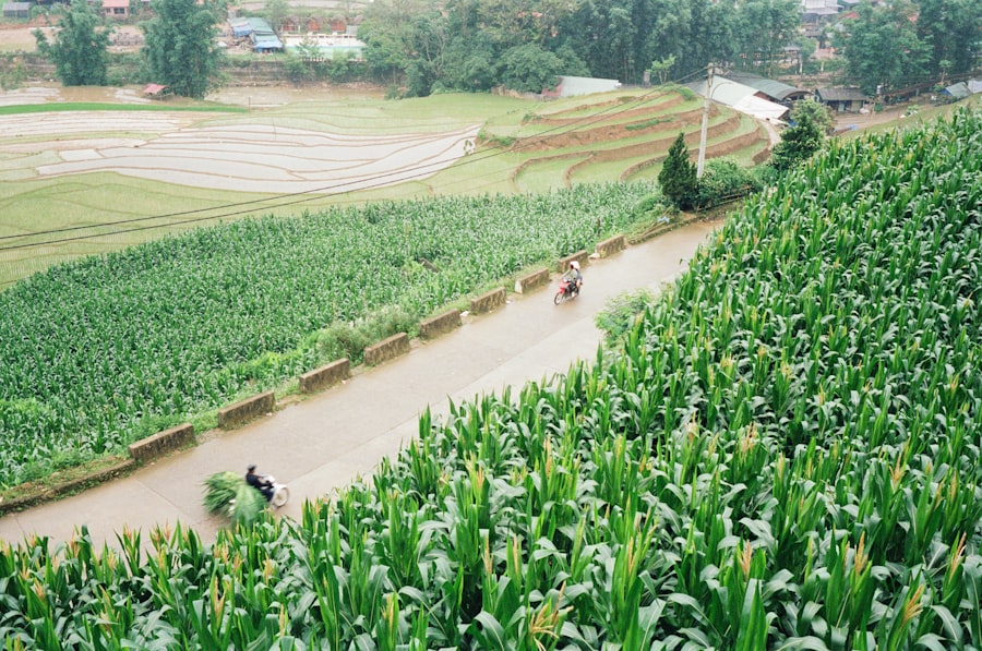 Photo water shortage agriculture