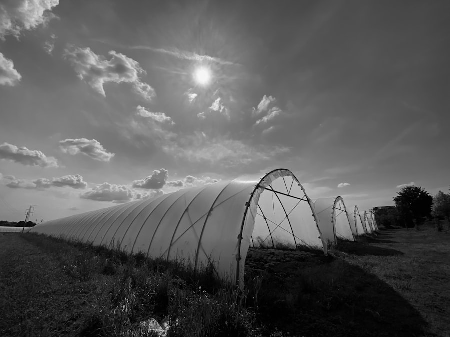 farmland market bubble