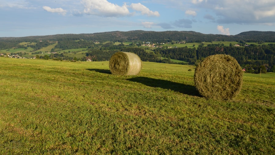 farmland market bubble