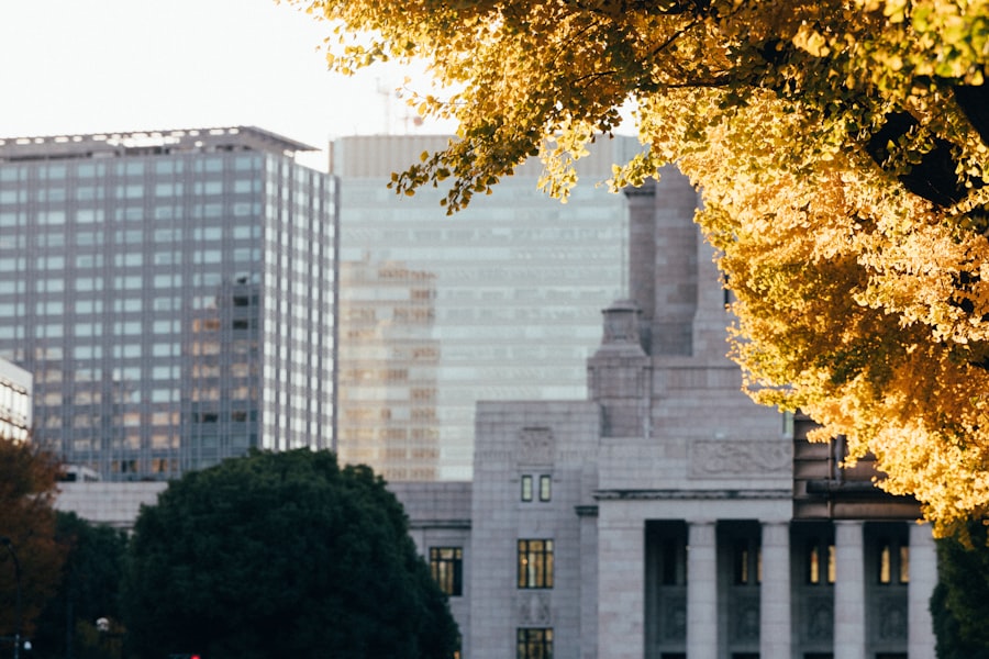 municipal bond default risk assessment