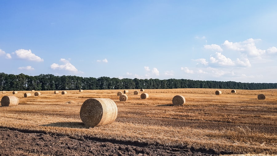 farmland investment