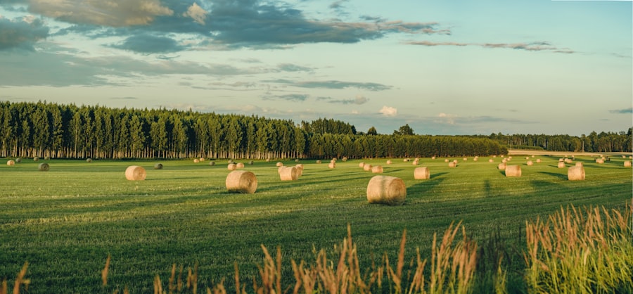 farmland investment strategy